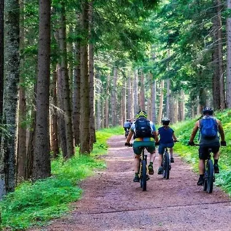 In Near Baltic Apartament *